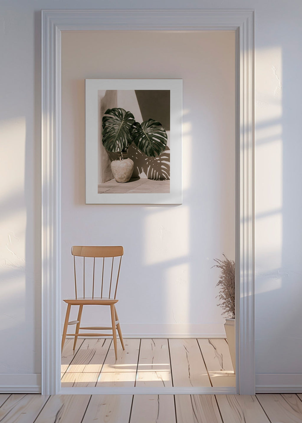 Stampa botanica Monstera in vaso