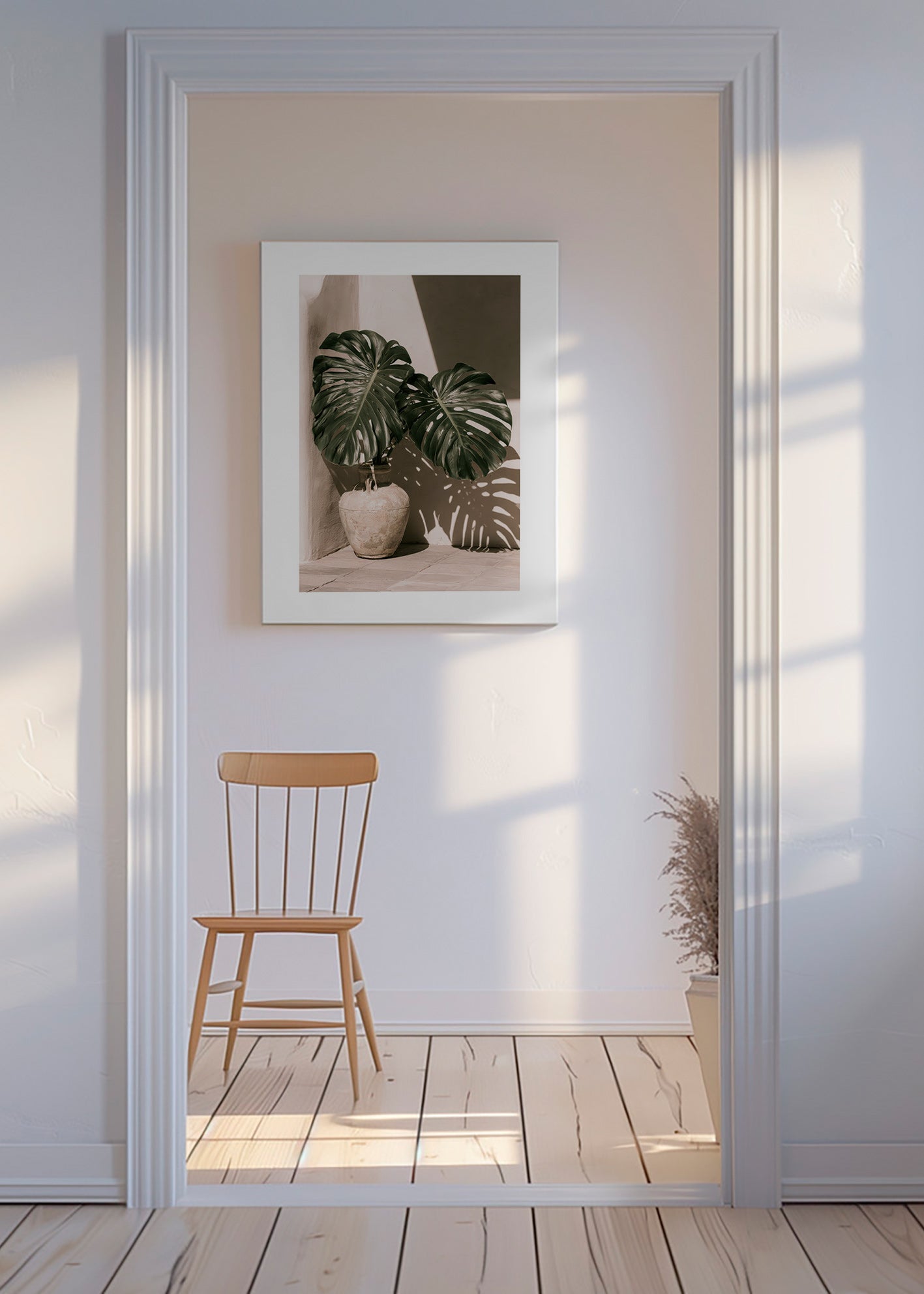 Stampa botanica Monstera in vaso