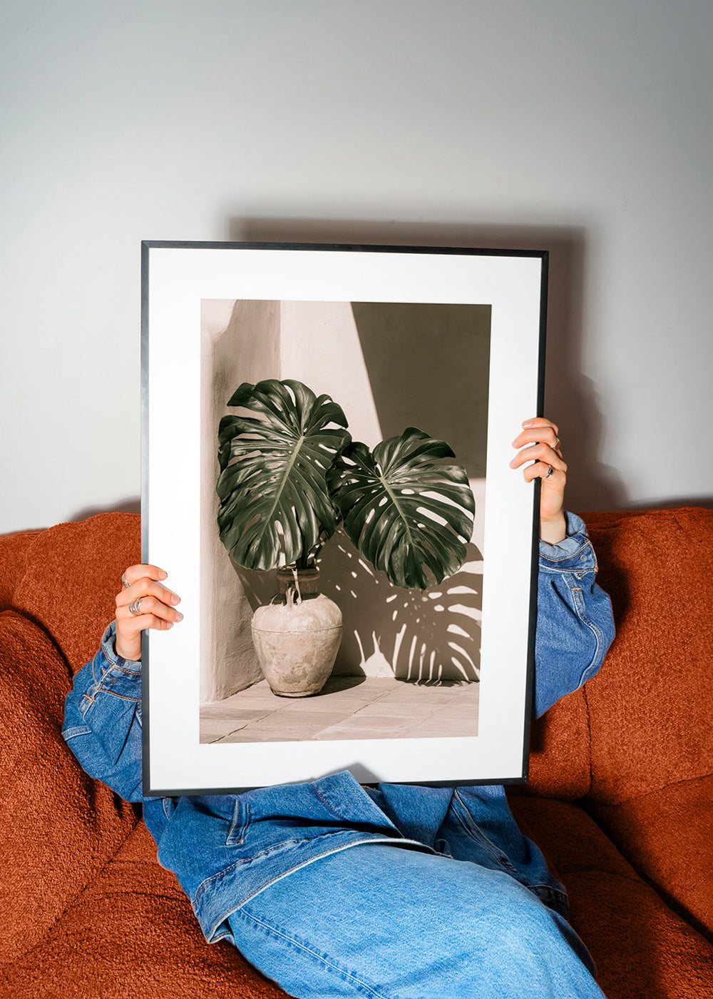 Stampa botanica Monstera in vaso