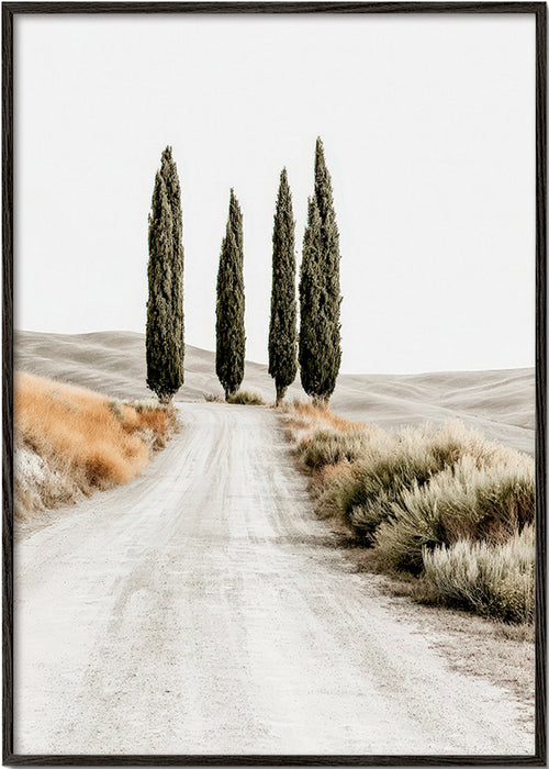 Quadro di paesaggio con cipressi sulla strada