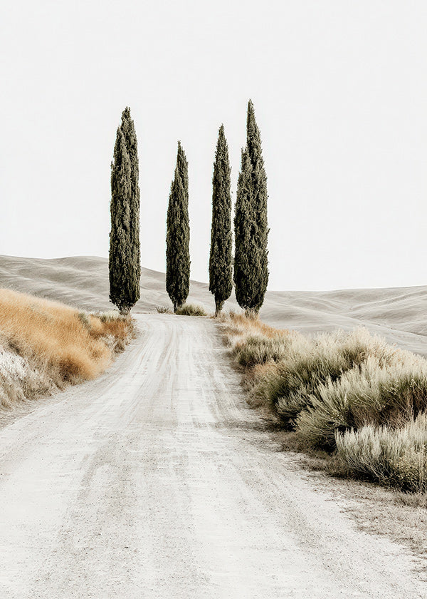 Quadro di paesaggio con cipressi sulla strada