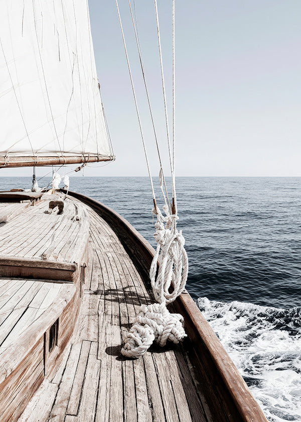 Sailing Morning