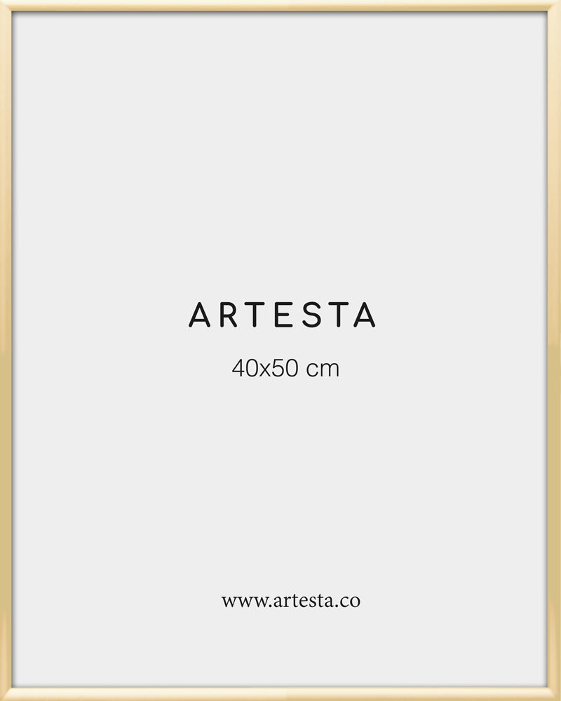 Cornice dorata 40x50cm