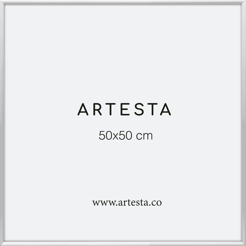 Cornice argentata 50x50cm