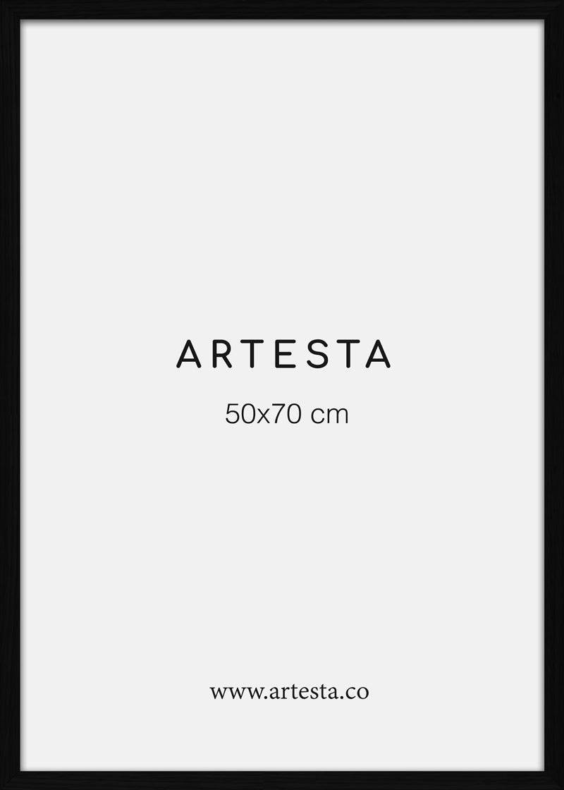 Cornice nera 50x70cm