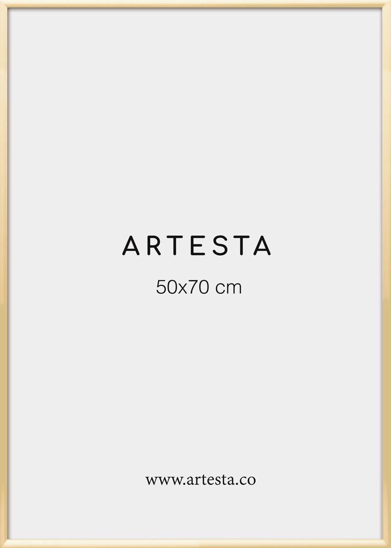 Cornice dorata 50x70cm