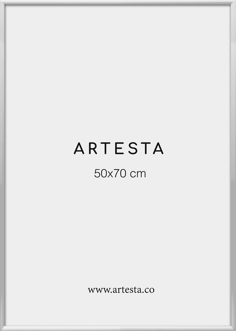 Cornice argentata 50x70cm
