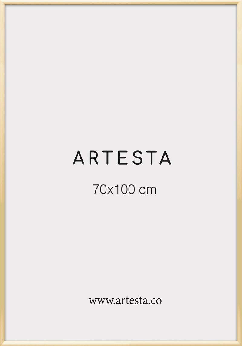 Cornice dorata 70x100cm