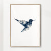 Sky hummingbird