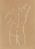 Body Sketch N 5 Camel