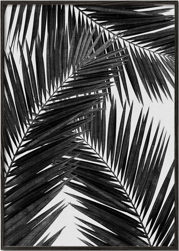 Palm Leaf Black & White III