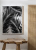Palm Leaf Black & White III