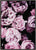 Pink Flowers III 2