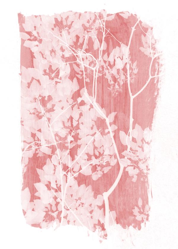 Tree foliage on pink paint
