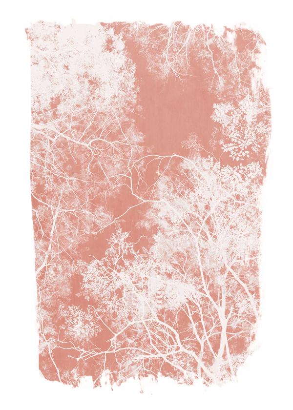 Tree foliage on coral paint