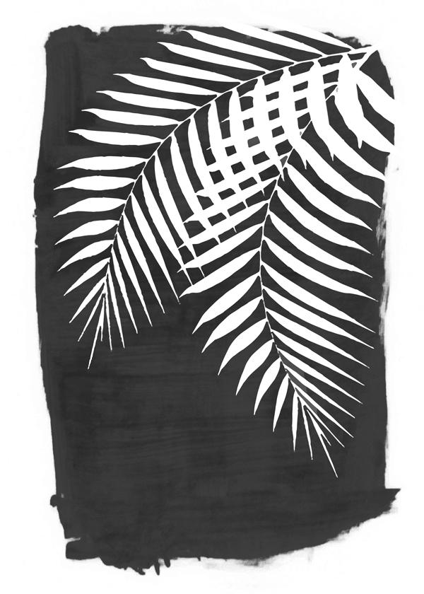 Palm leaves on black paint