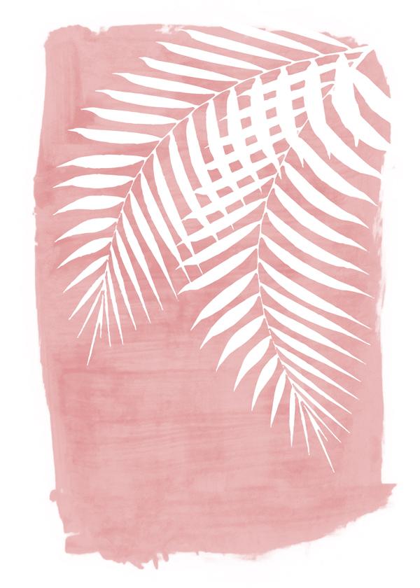 Palm leaves on pink paint