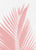 Pink palm leaves on white