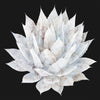 Agave white marble