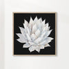 Agave white marble
