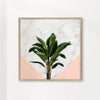 Banana plant on pink and marble wall