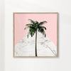 Palm tree on pink and marble wall