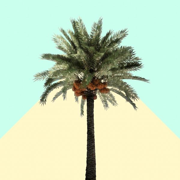 Palm tree on cyan and lemon wall