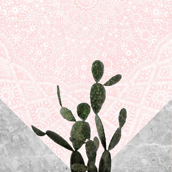 Cactus on concrete and pink persian mosaic mandala wall