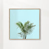 Palm plant on pastel blue wall