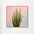Cactus on pink and grey marble wall