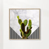 Cactus on white marble and zigzag tiles