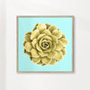 Yellow succulent plant on teal