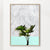 Palm plant on marble and teal wall