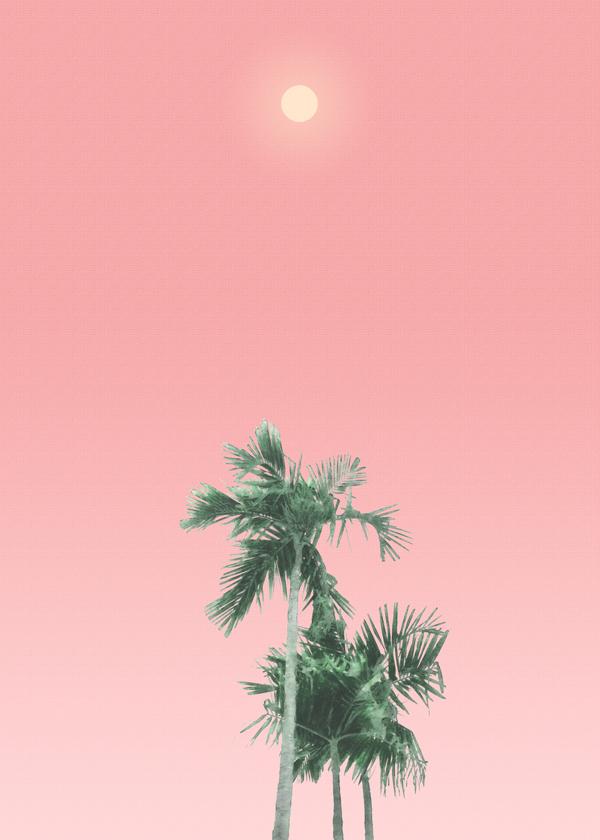 Palm trees, sun and sky