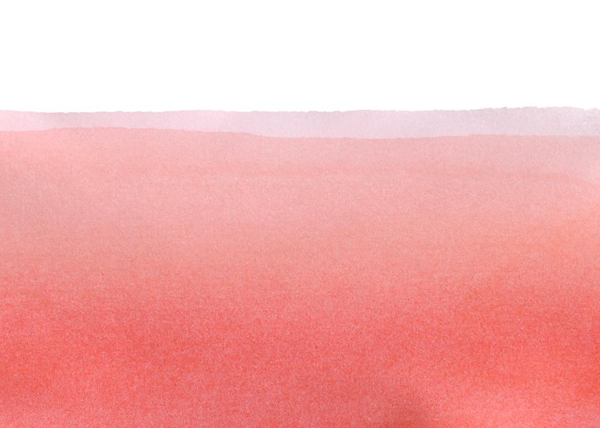 Minimal pink abstract 02 landscape