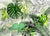 Tropical Foliage 01