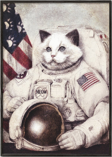 Meow Out of Space
