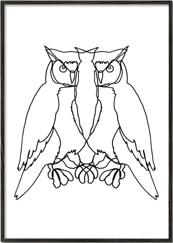 Owl lines