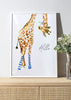 Giraffe with socks