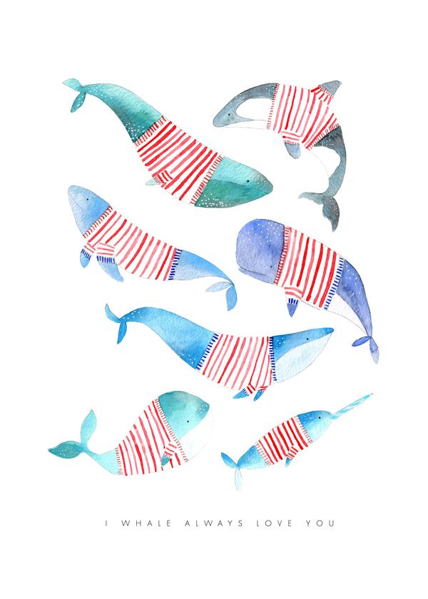 Whales with stripes