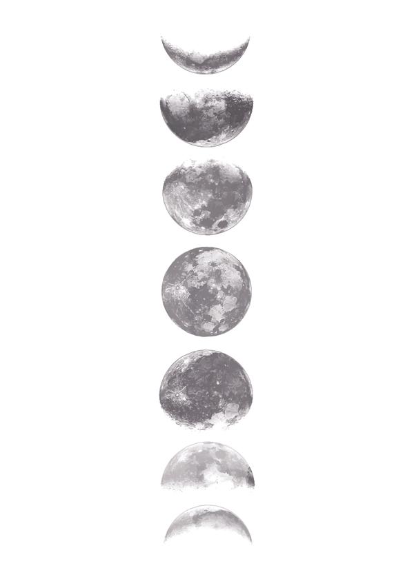 Phases of the moon