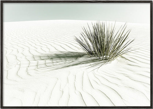 WHITE SANDS Dune | Vintage