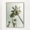Vintage Palm Trees in the sun