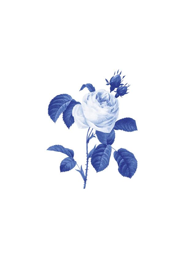 Blue Botanical I