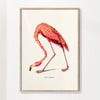 Boho flamingo