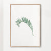 Watercolor Palm Leaf