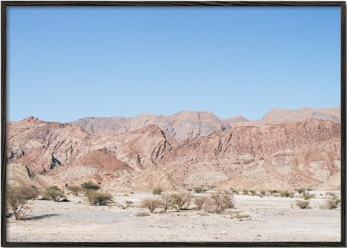 Rocky Desert Road