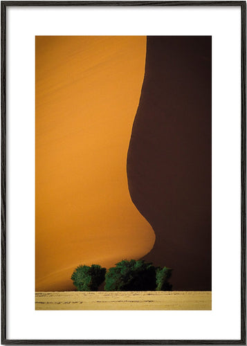 Dune 1 - John Rickwood