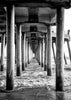 Black California - Underneath Huntington Beach Pier