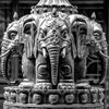 Black China - Jade Elephants II